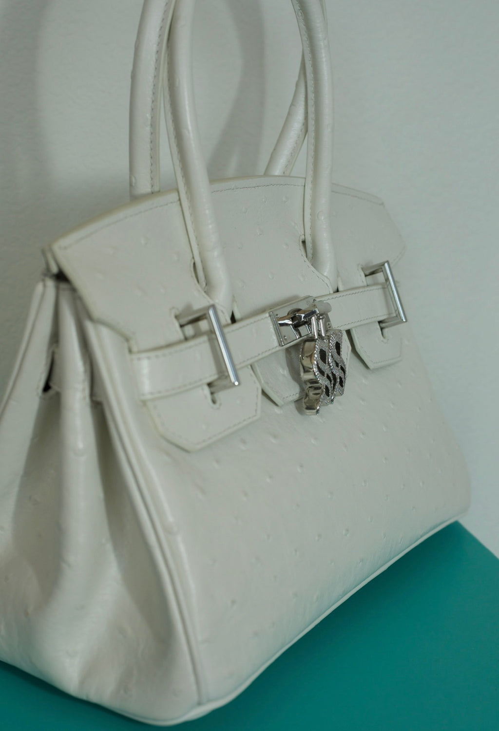 Ostrich Purse
