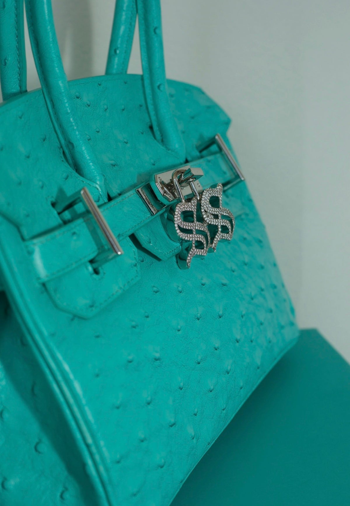 Ostrich Purse