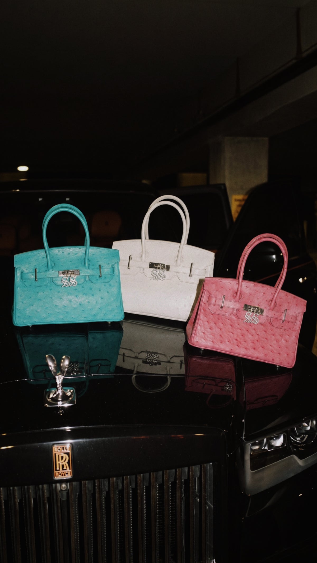 Ostrich Purse