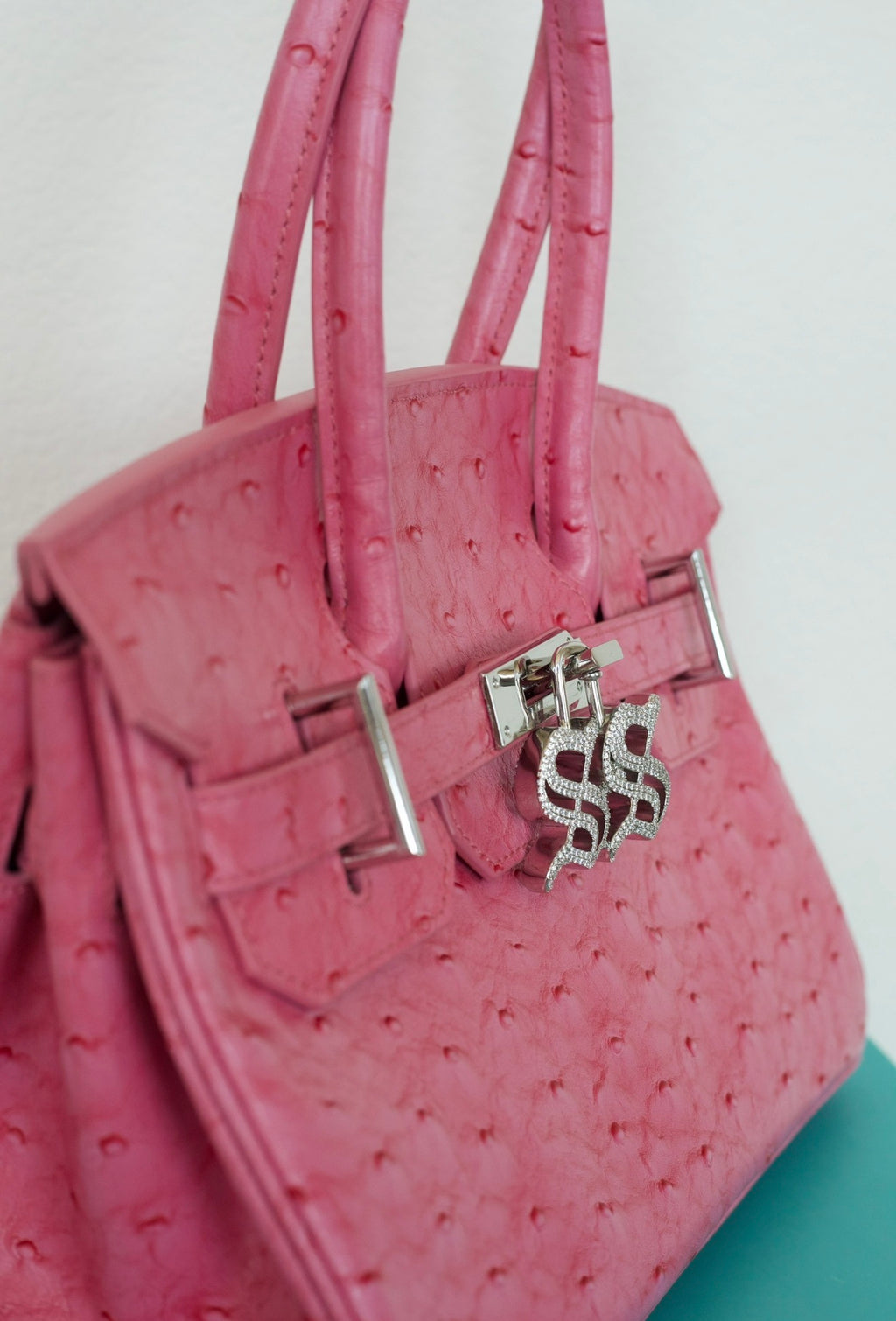 Ostrich Purse